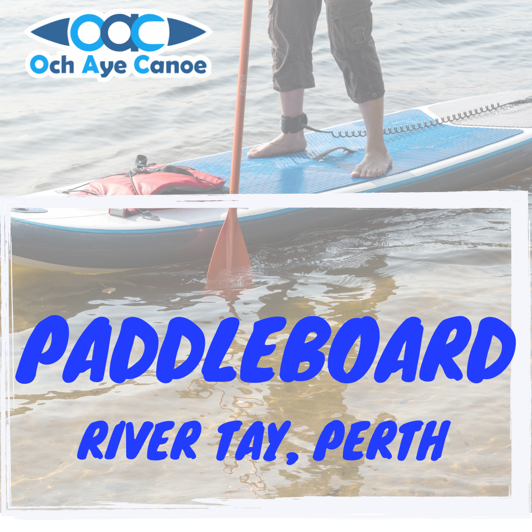 Paddleboarding: River Tay, Perth, Sunday 19th July (3pm to 6pm)