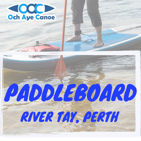 Paddleboarding: River Tay, Perth, Sunday 19th July (3pm to 6pm)